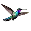 b0367997-47e9-4f73-8998-ee5da6ac5546
